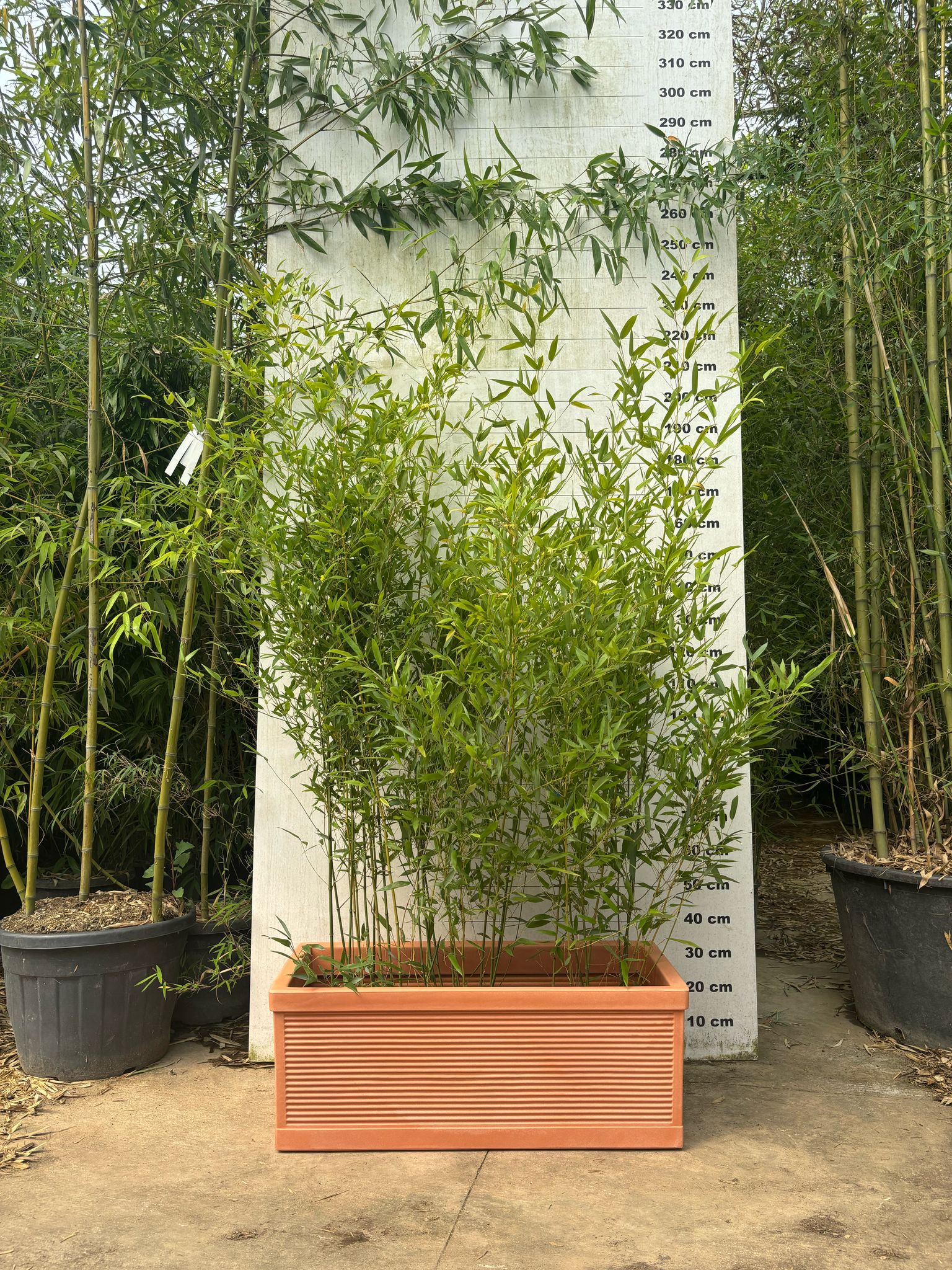 Jardinière Capri - 140L - Image 4