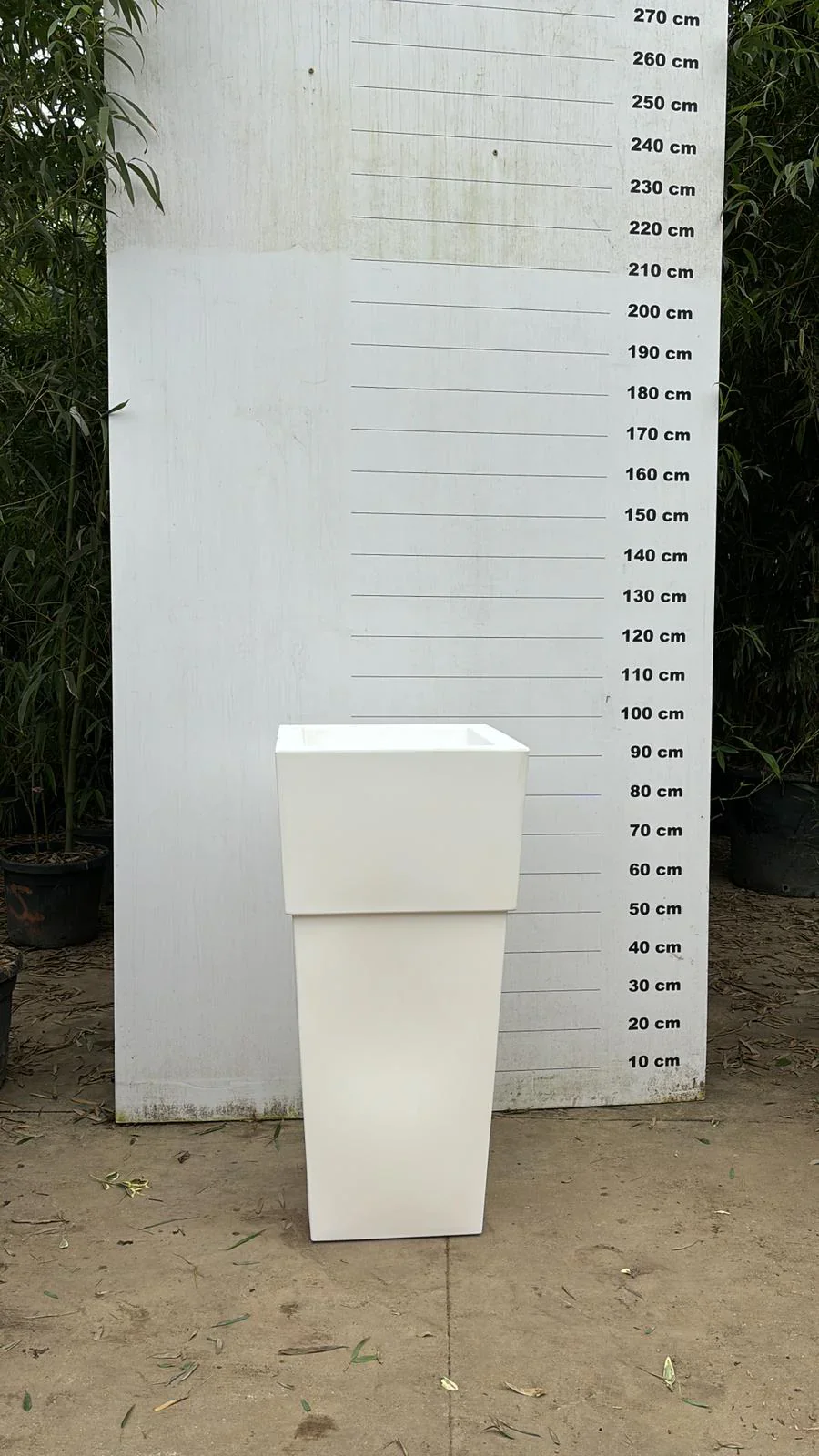 Pot Pisa - Image 4